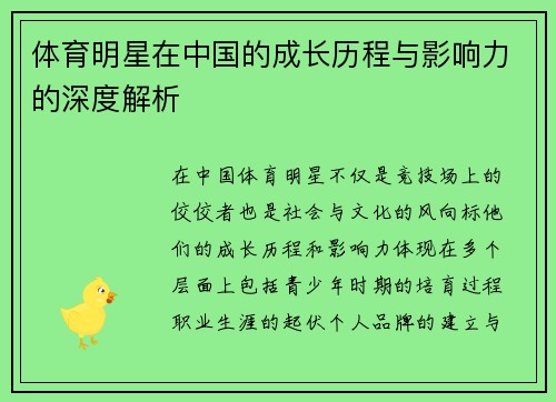 体育明星在中国的成长历程与影响力的深度解析